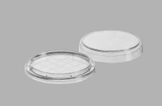 Rodac Dish, 60mm, Grid, Flat, PS, Sterile